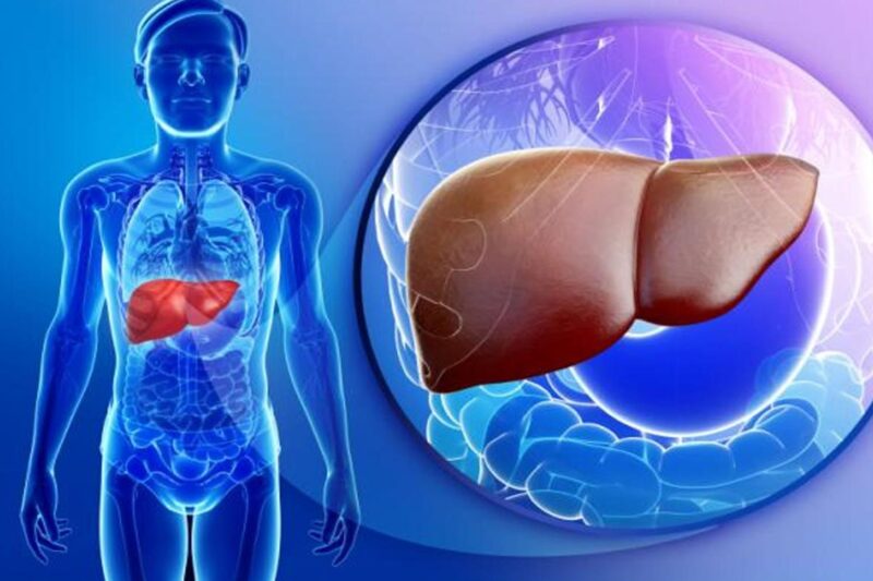 اثرات مصرف گوشت قرمز بر مشکلات کبدی: بررسی مستند، مضرات مصرف محصولات حیوانی و مزایای منابع جایگزین گیاهی